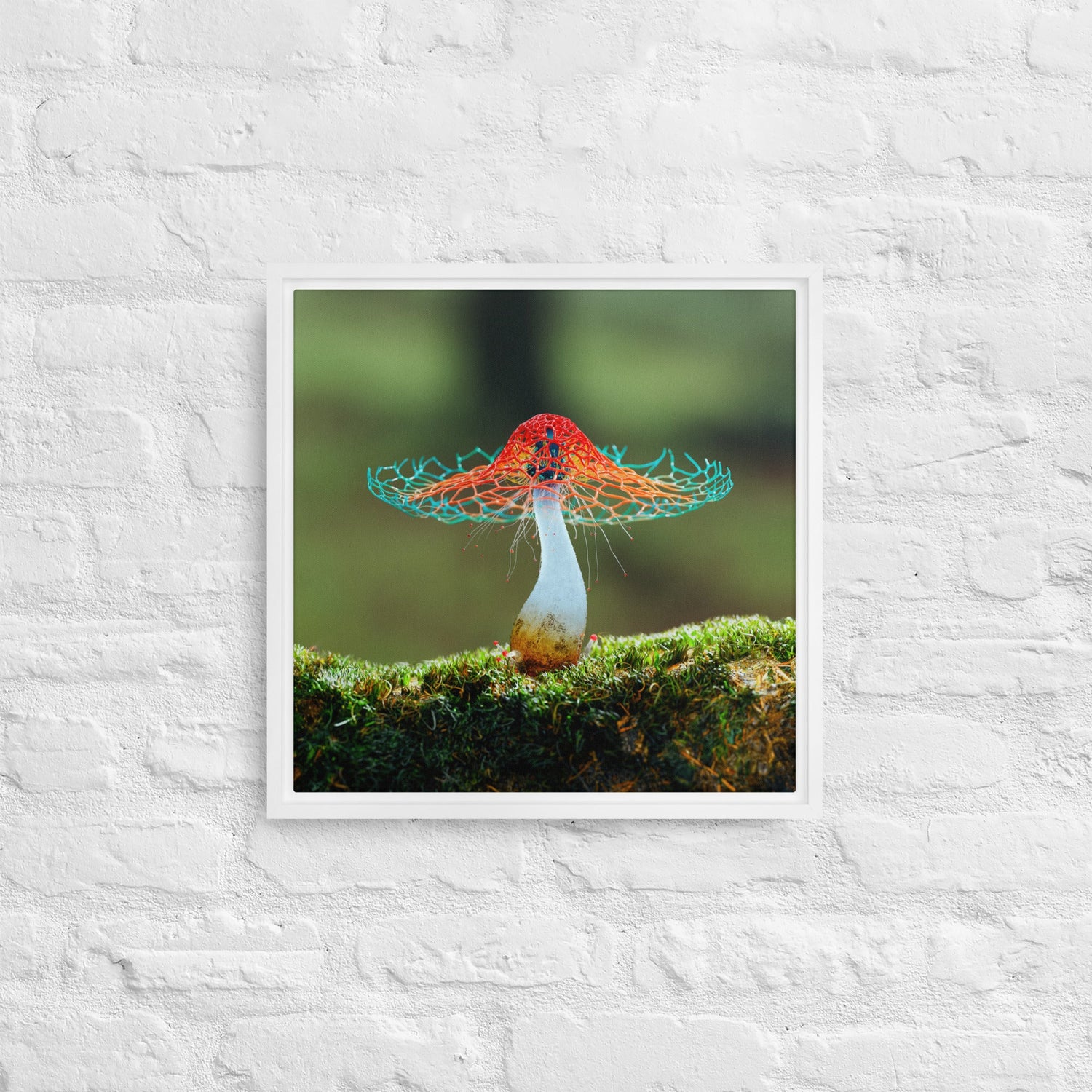 Framed Prints.